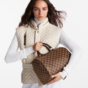 Louis Vuitton Brown Checkered Bag